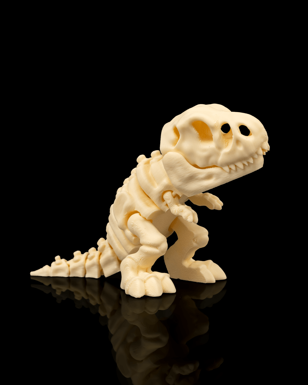 Kit Fósseis do Passado: Dinossauros